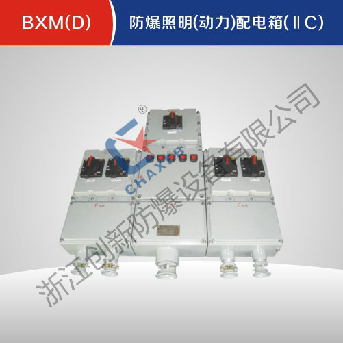 BXM(D)防爆照明(动力)配电箱(IIC)